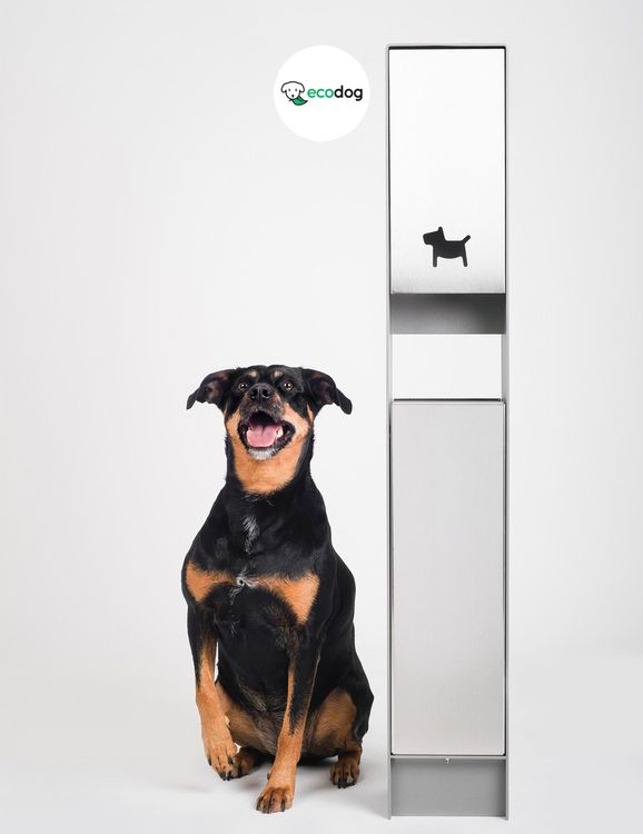 Pet Almighty Photography, Gordana Popović, fotografiranje kućnih ljubimaca, fotografiranje ljubimaca, fotografiranje pasa, fotografiranje mačaka, fotograf ljubimaca, fotografiranje životinja Hrvatska, fotografiranje ljubimaca za brendove, pet brand photography, pet photographer croatia, fotografski studio za ljubimce, pet photography studio Croatia